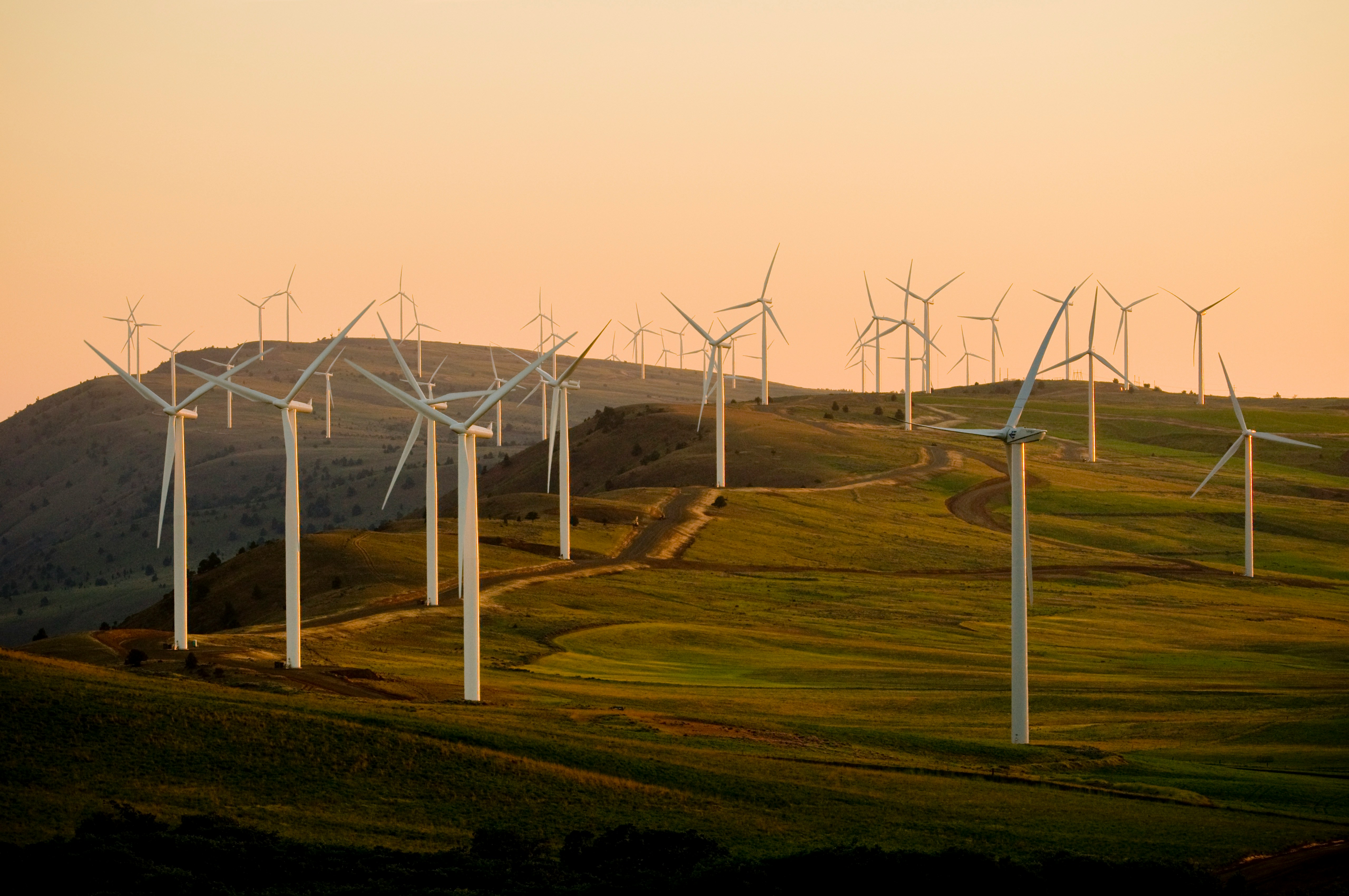 Cover: The UK's biggest sources of renewable energy — What you need to know